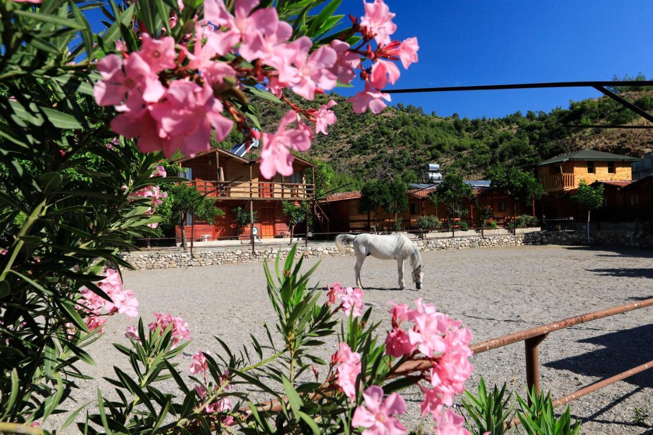 Oranj Ranch Hotel ケメル エクステリア 写真