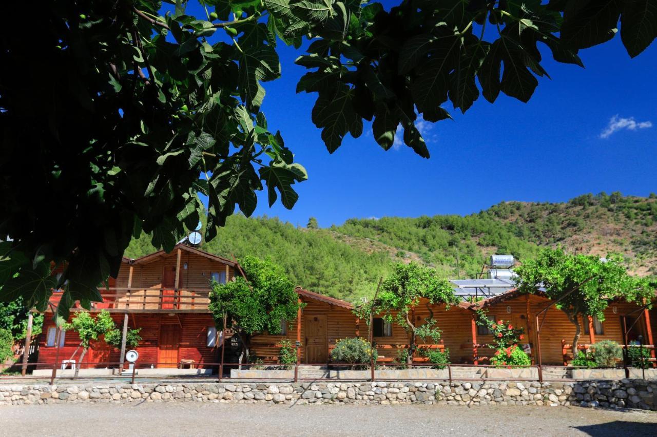 Oranj Ranch Hotel ケメル エクステリア 写真
