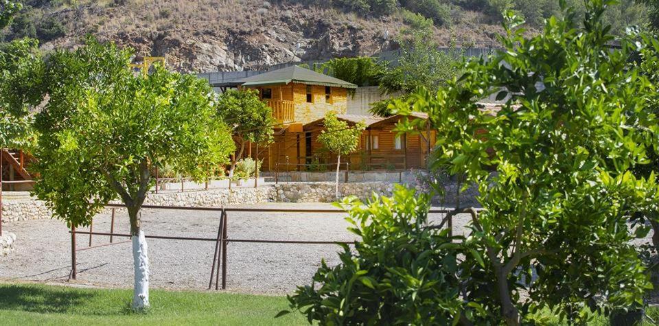 Oranj Ranch Hotel ケメル エクステリア 写真