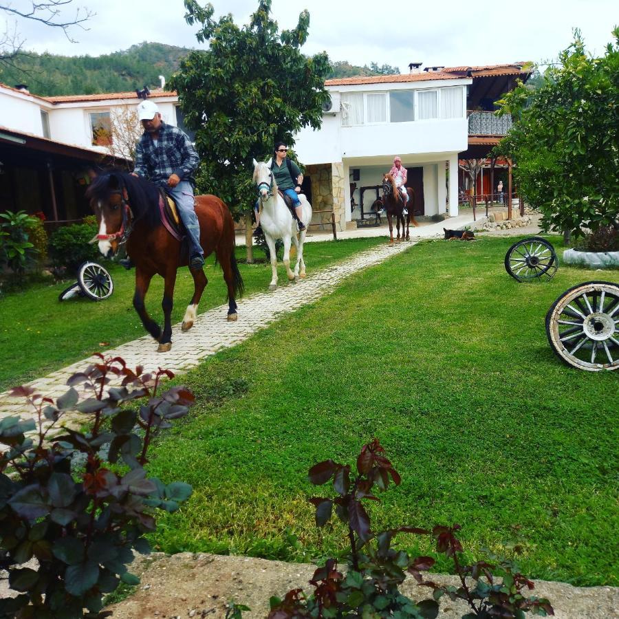 Oranj Ranch Hotel ケメル エクステリア 写真