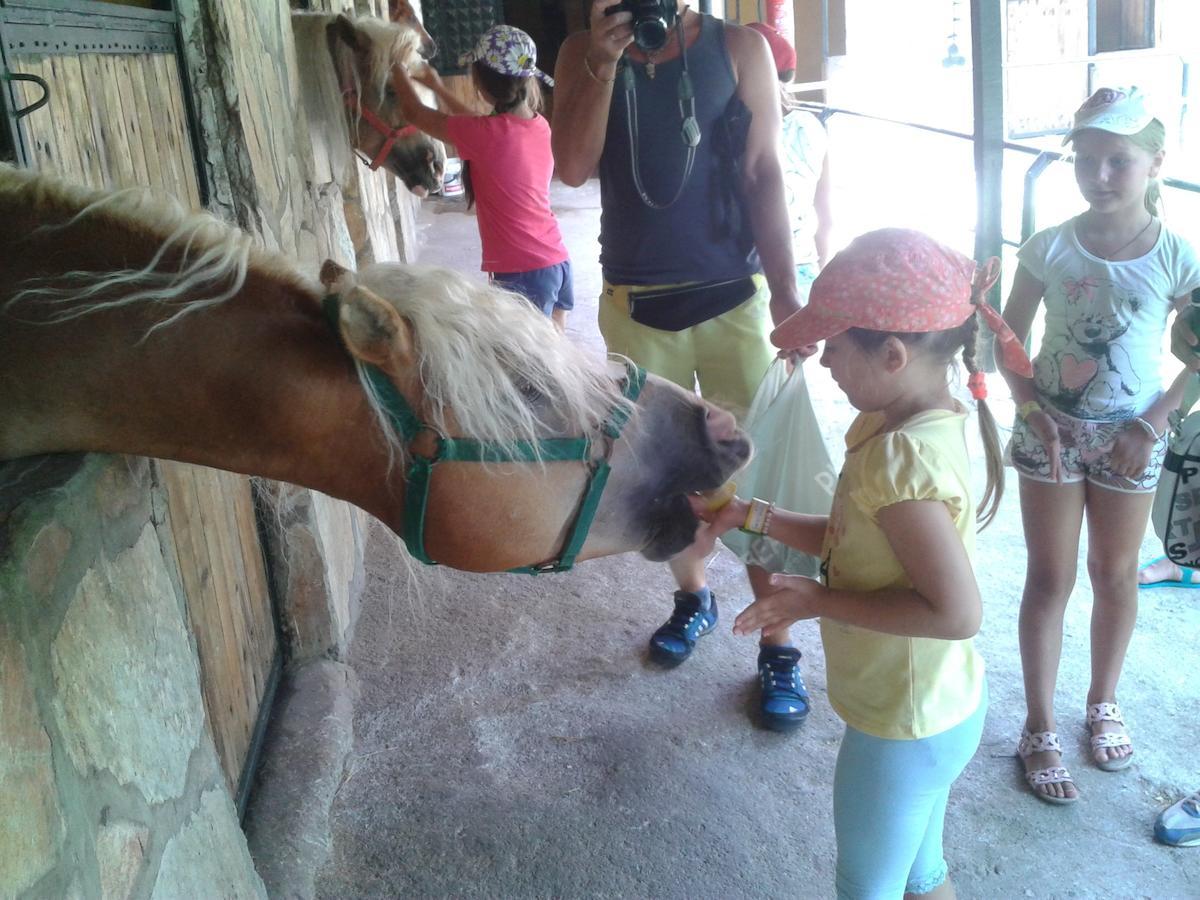 Oranj Ranch Hotel ケメル エクステリア 写真