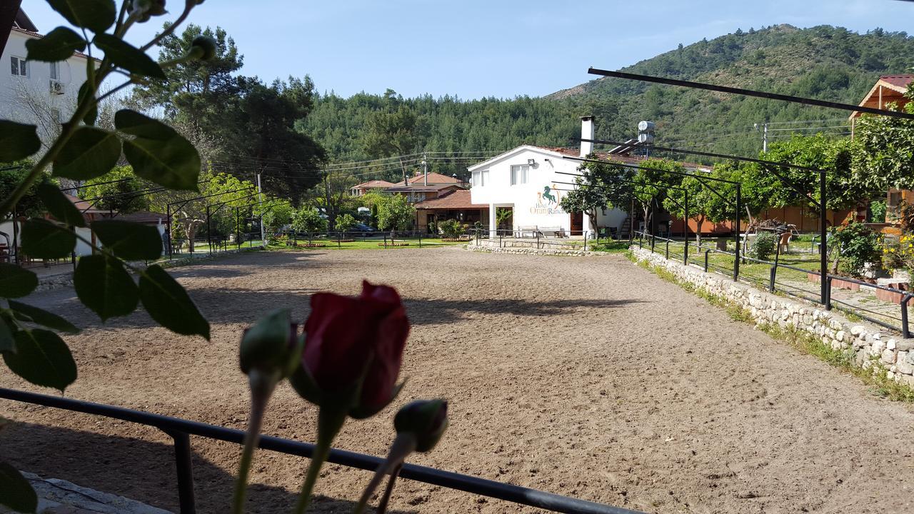 Oranj Ranch Hotel ケメル エクステリア 写真