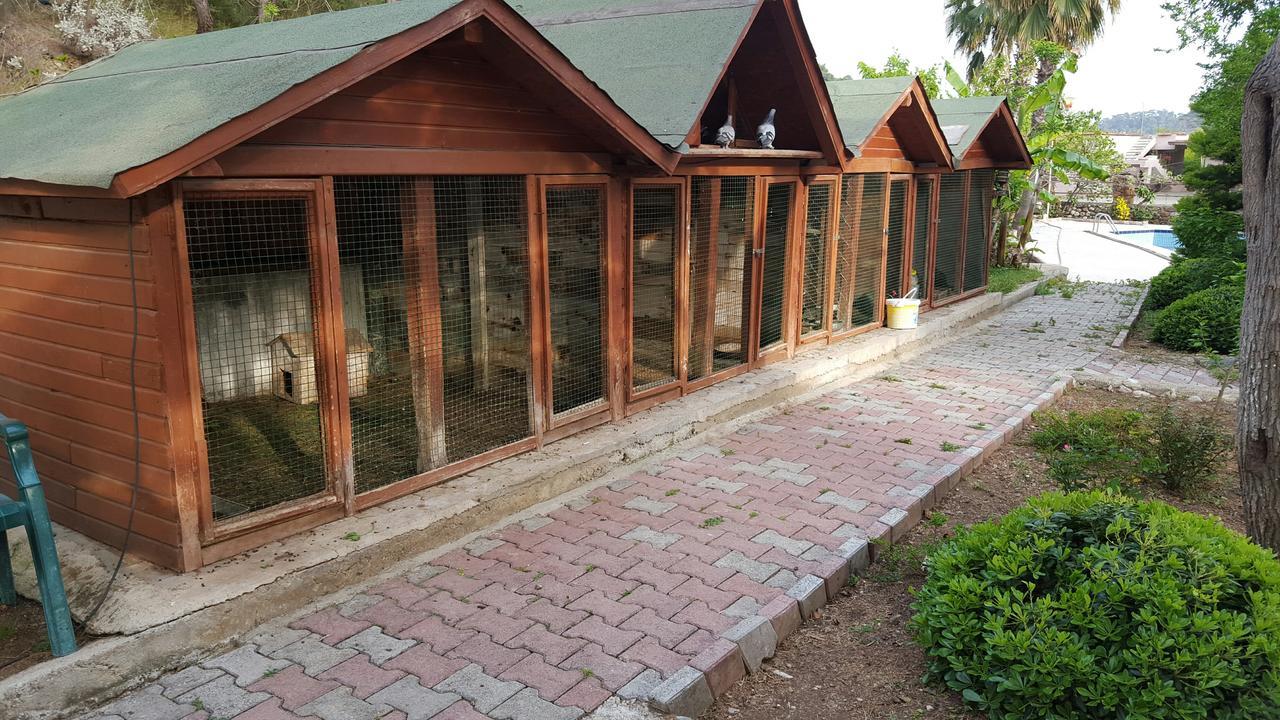 Oranj Ranch Hotel ケメル エクステリア 写真