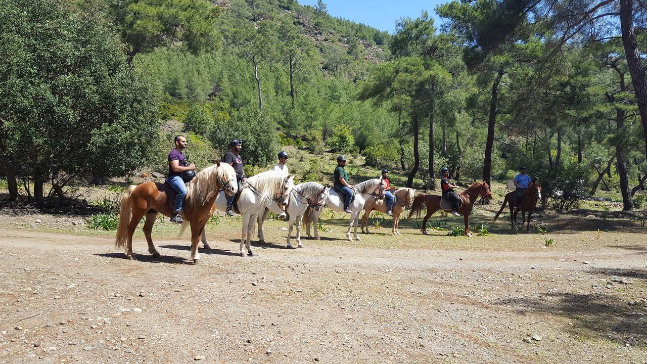 Oranj Ranch Hotel ケメル エクステリア 写真