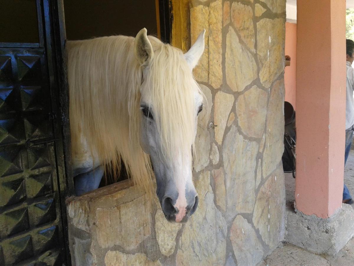 Oranj Ranch Hotel ケメル エクステリア 写真